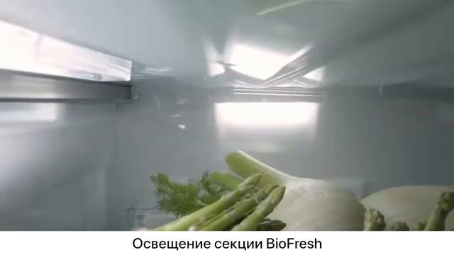 Холодильники Серия Prime от Liebherr смотреть онлайн