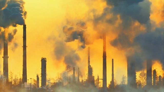 Что такое ЗОЖ? / Здоровый образ жизни.