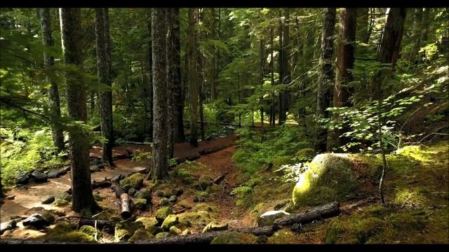 Из-за Июня Остальная часть 2022 Года Будет Выглядеть Так ∞ 9-Й Арктурианский Совет-ченнелинг смотреть онлайн