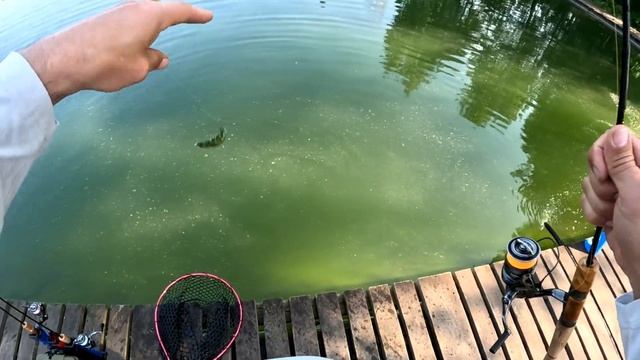 FishParkArena ловля форели на спиннинг.. смотреть онлайн