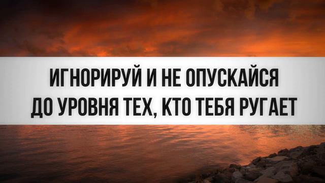 Игнорируй и не опускайся до уровня тех,кто тебя ругает. Ринат Абу Мухаммад смотреть онлайн