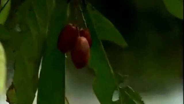 С 8 МАРТА смотреть онлайн