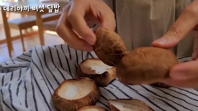 SUB) 한그릇 덮밥 요리 5가지🍛 / 따뜻한 집밥 일상 смотреть онлайн