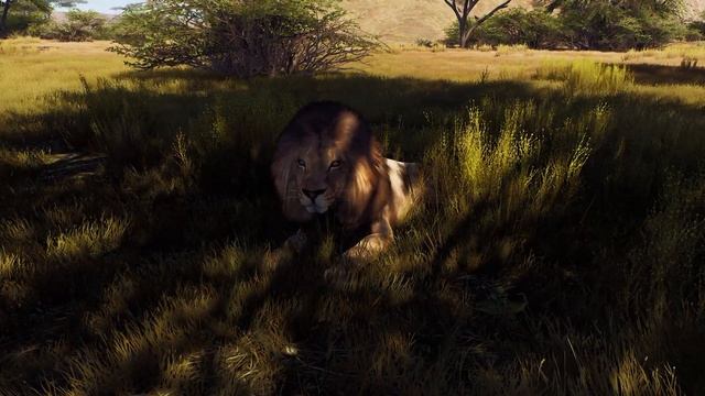 Hunting EVERY Tikamoon Plains Animal, well kinda... - Way of the Hunter смотреть онлайн