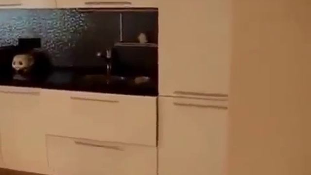 Ремонт квартир под ключ спб ремонт квартир в Москве смотреть онлайн