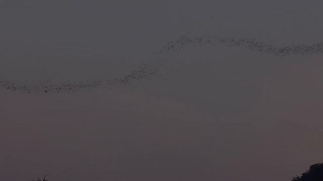 Таиланд☀️последние дни смотреть онлайн