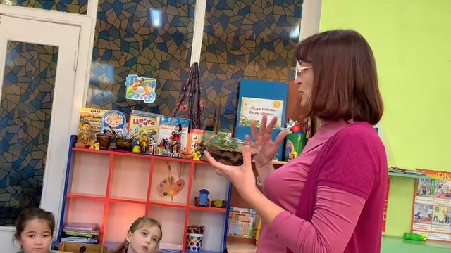 Флорариум глазами детей смотреть онлайн