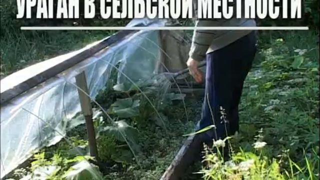 Тема 1. Ураганный ветер смотреть онлайн