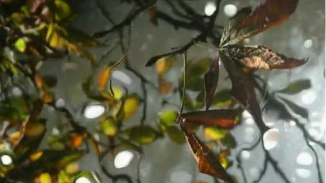 Claude Debussy Undina ART Luba Sokolovsky смотреть онлайн