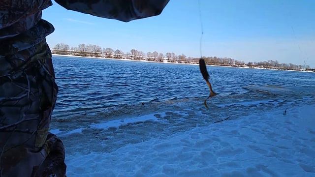 Февральский Отводной Творит ЧУДЕСА!!! смотреть онлайн