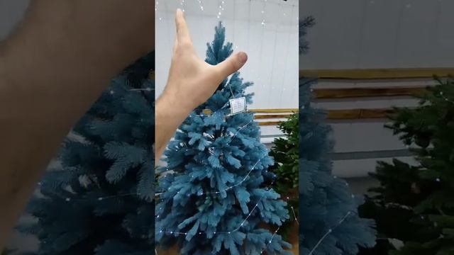 ?Герда. Голубая ёлочка - отличный вариант, который придётся по душе всей семье. #искусственныеелки смотреть онлайн