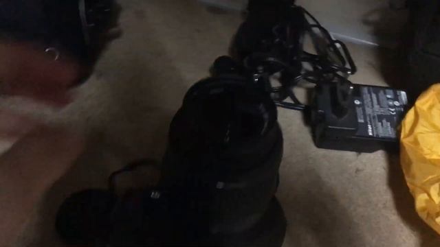 18 июня 2022 г.