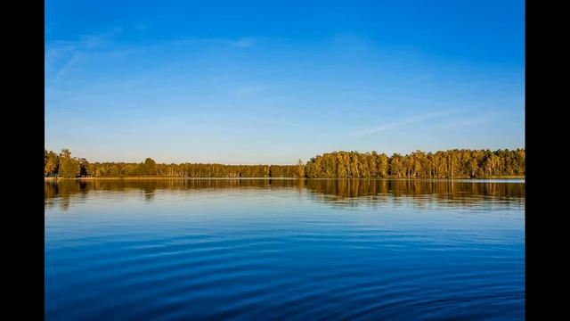 Очень красивая музыка и пение птиц!!! смотреть онлайн