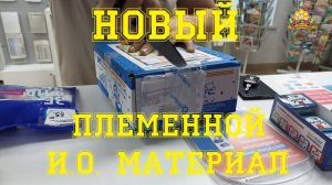 Новый племенной материал И. О.