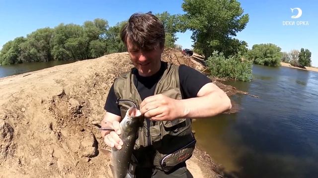 Ловля жереха в Астрахани. Трофейная снасть. Рыбалка с Деки Орка смотреть онлайн