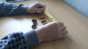 Как сделать сувенир из грецкого ореха для продажи в городе Яровое