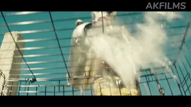 Vaxshilar Ayol Va Qizlarni ogirlab Zorlab Oldirishardi. Tarjima Kinolar 2023 смотреть онлайн