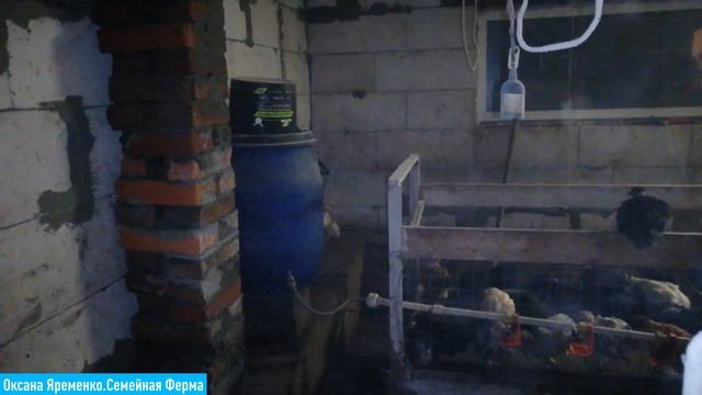 Строительство капитального птичника