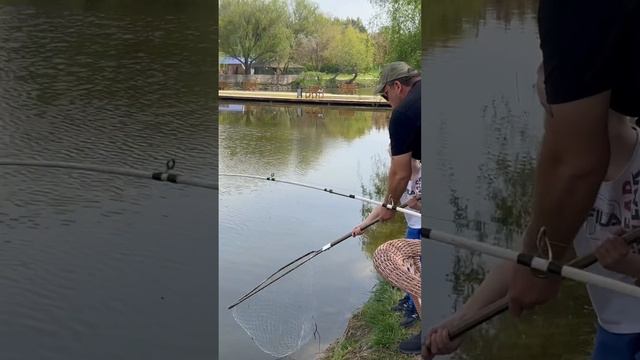 РЫБАЛКА УДАЛАСЬ ? ГОЛДЕН ФИШ - ТАШКЕНТ #рыбалка #осетр #узбекистан смотреть онлайн