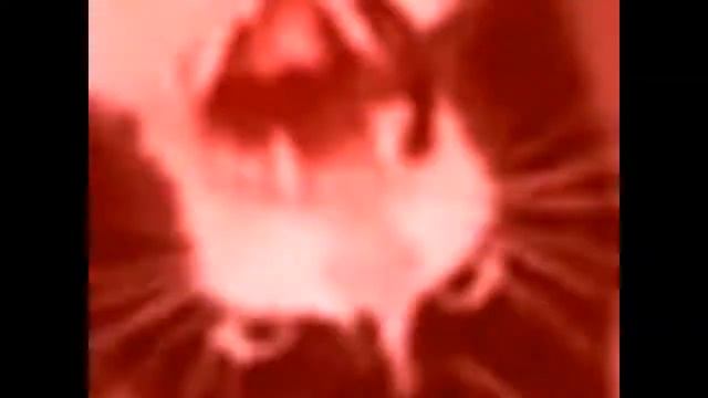 Кот орет (-уши) смотреть онлайн