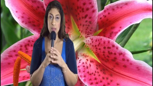 North Node in Cancer or 4th House Astrology Series by Nadiya Shah смотреть онлайн