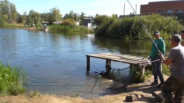 Пирогово 24.08.2015. смотреть онлайн
