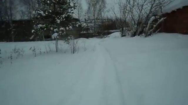 покатушки динго т125 24.01.2016 смотреть онлайн