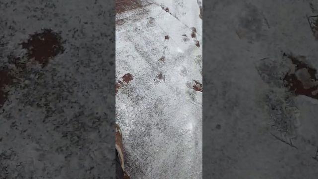 Декинг или Лиственница на открытой терассе. #декинг #лиственница #подмосковье #терасса