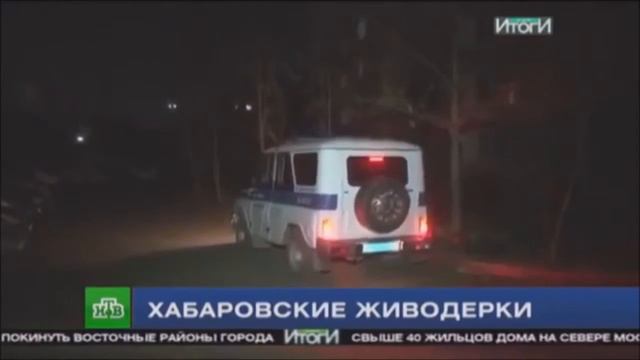Новости о живодерках из Хабаровска смотреть онлайн