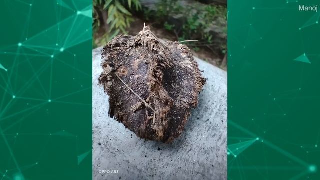 Unboxing OPPO New ₹12,990 Smartphone + 4x Giveaway?? смотреть онлайн