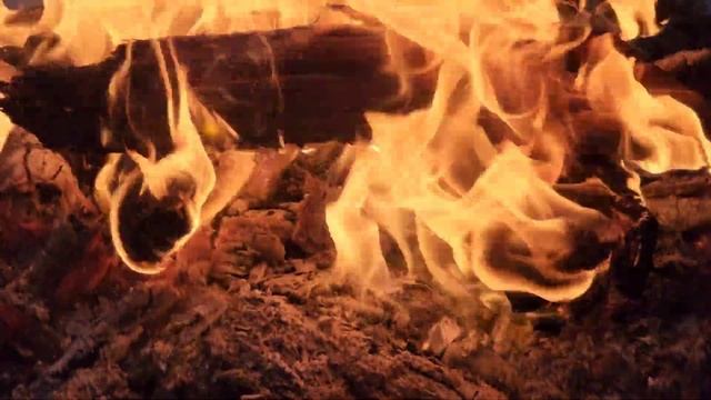 Лесная медитация... смотреть онлайн