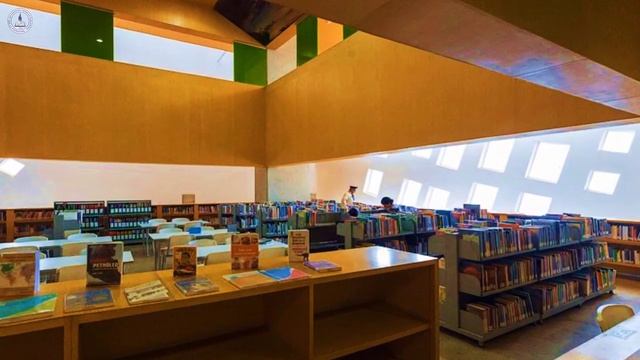 «Необычные библиотеки мира» (библиоэкскурс) смотреть онлайн