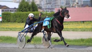 30.06.2022 Бега и Скачки на Казанском Ипподроме!