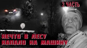 Нечто в ночном лесу напало на машину. (3 часть)