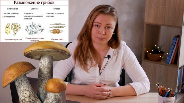 ЕГЭ биология за 7 уроков. 5/7 (Разнообразие живых организмов) смотреть онлайн