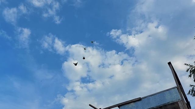 26 июня 2021 г. смотреть онлайн