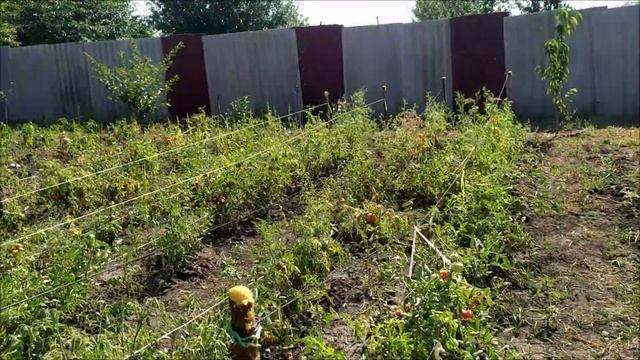 Благоустройство дачи, после покупки участка. Наводим там порядок. смотреть онлайн