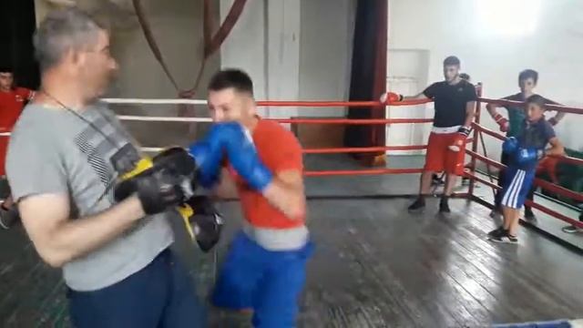 Тренировка на лапах Нарек Захарян и тренер Геворг Саргсян Мартуни смотреть онлайн