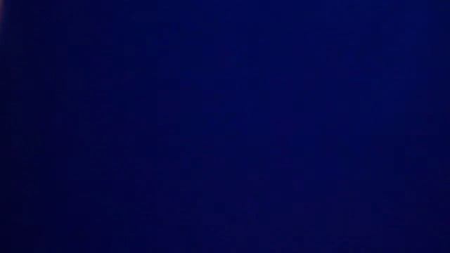 Sea Angel (Unique Sea Creature) смотреть онлайн