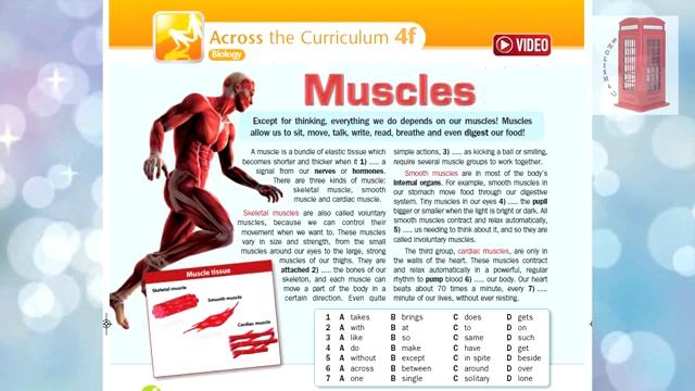 Excel 8 grade 4 f Muscles смотреть онлайн