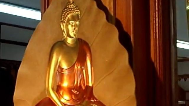 Эффект  Гарднера - Будда.wmv