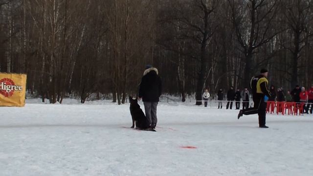 РР 23 февраля 2013 г. смотреть онлайн