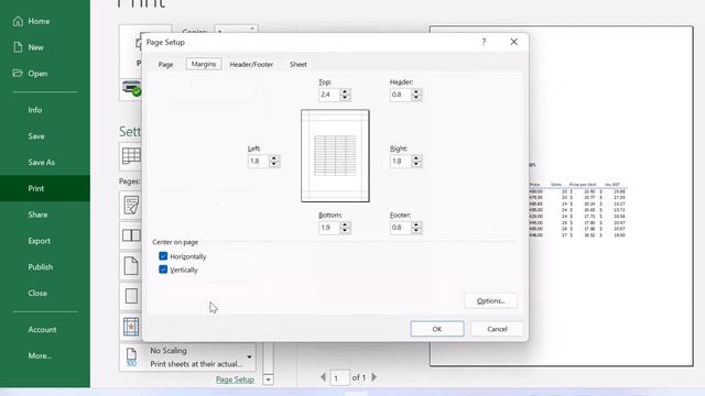 How to Center Worksheet Horizontally and Vertically in Excel (Print Centered on Page Excel) смотреть онлайн
