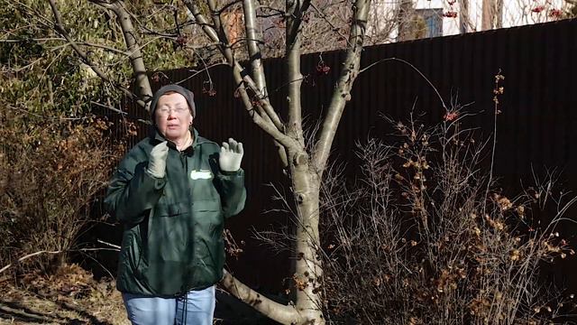 🌲 Сумна казка про самшит | Власний сад 7 Серія | 6cоток смотреть онлайн