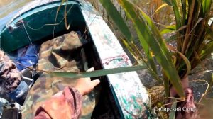 Язь. Щука. Рыбалка на спиннинг. Рыбалка в камышах оз. Сартлан