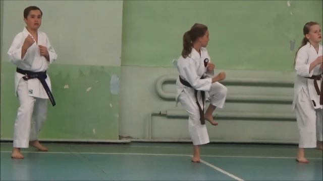 Аттестация на 2-й кю (2-й коричневый пояс) смотреть онлайн