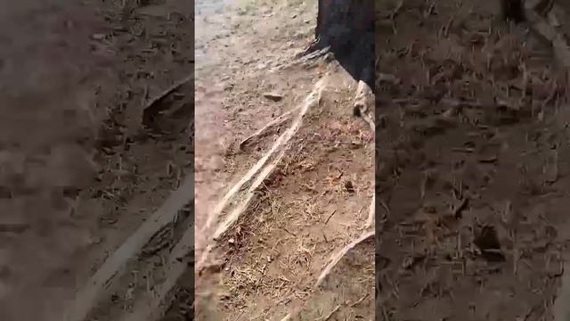 Просто зайди и посмотри смотреть онлайн