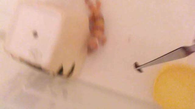 Эублефар смотреть онлайн