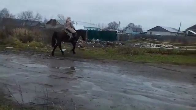 Лошади в городе смотреть онлайн