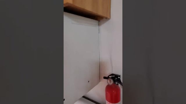 Flippers Gonna Flip Yet Again! смотреть онлайн